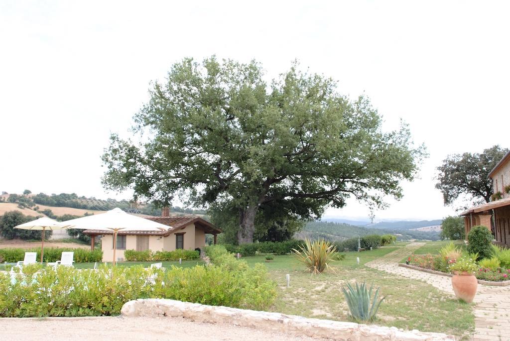 Podere Fingardella Guest House Paganico Exterior photo